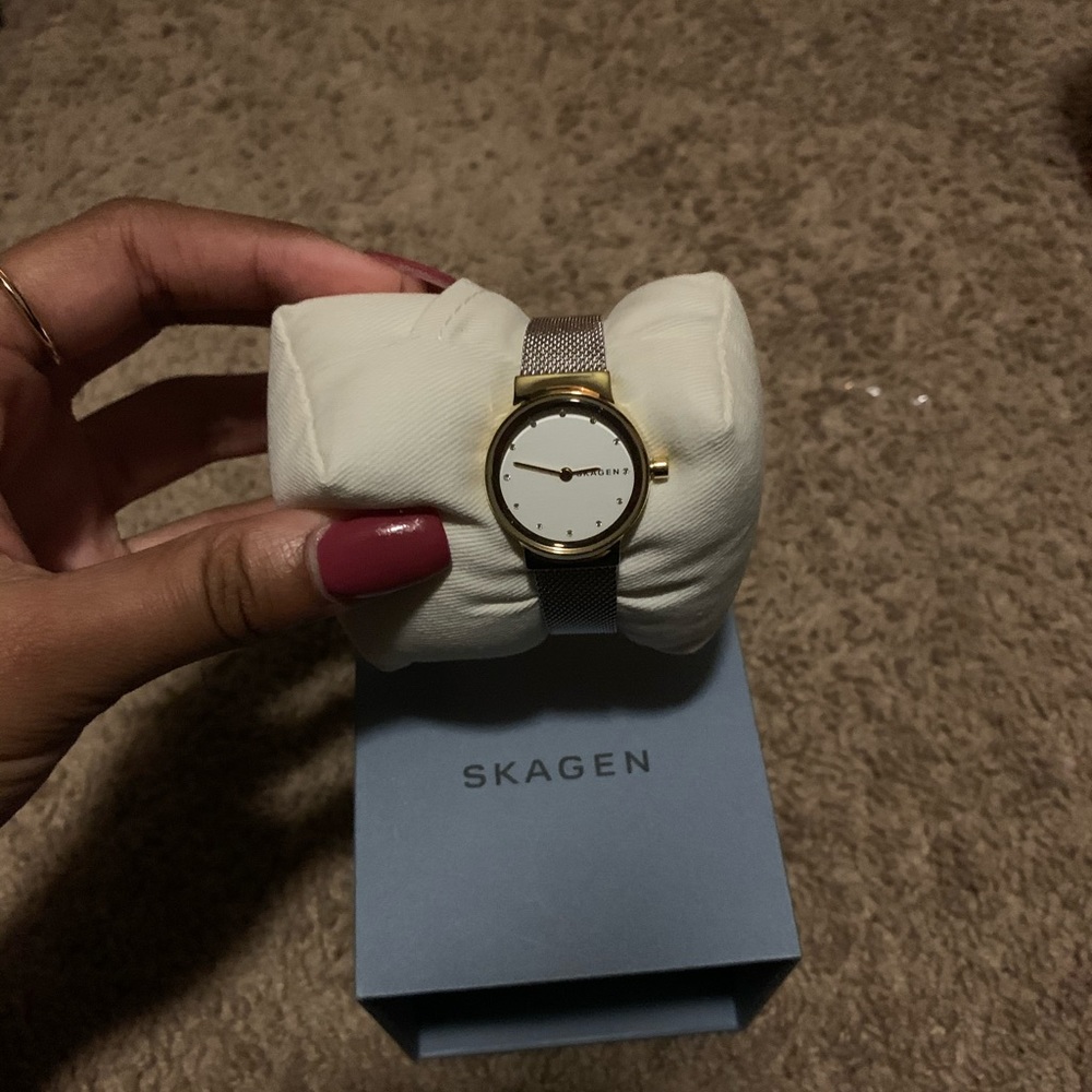 Tutone Skagen watch